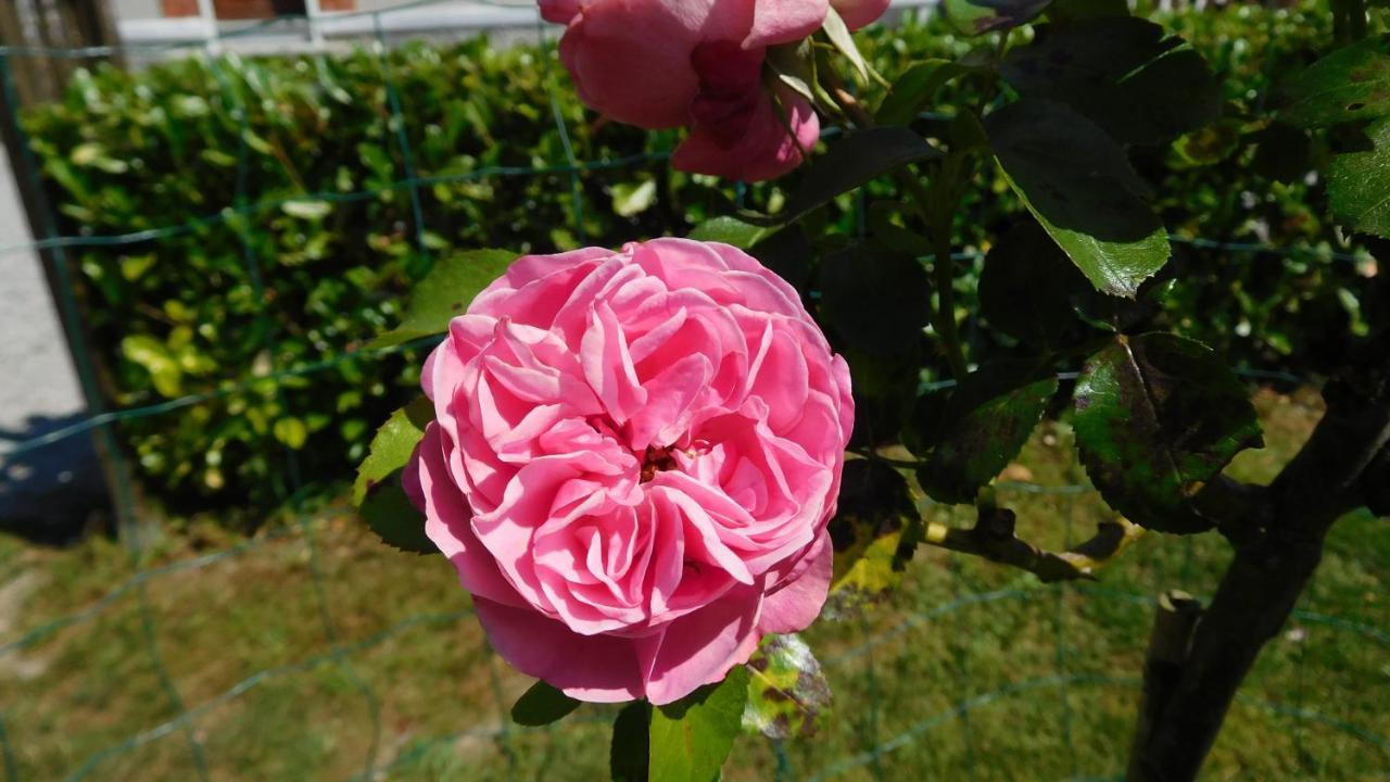 Le Faubourg La Cle Des Sens Bed & Breakfast エクステリア 写真