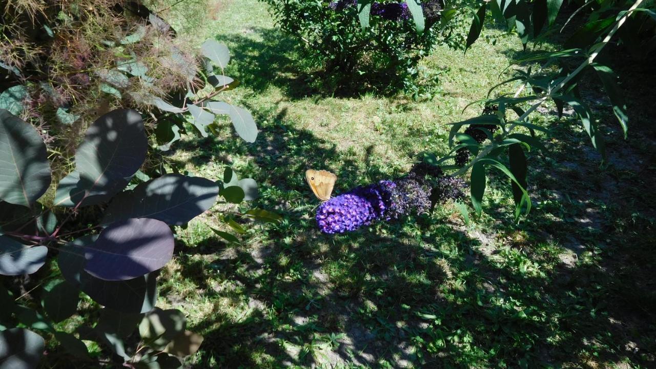 Le Faubourg La Cle Des Sens Bed & Breakfast エクステリア 写真